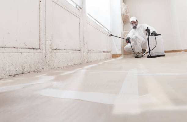 24/7 Emergency Attic Mold Removal experts in East Hanover, NJ
