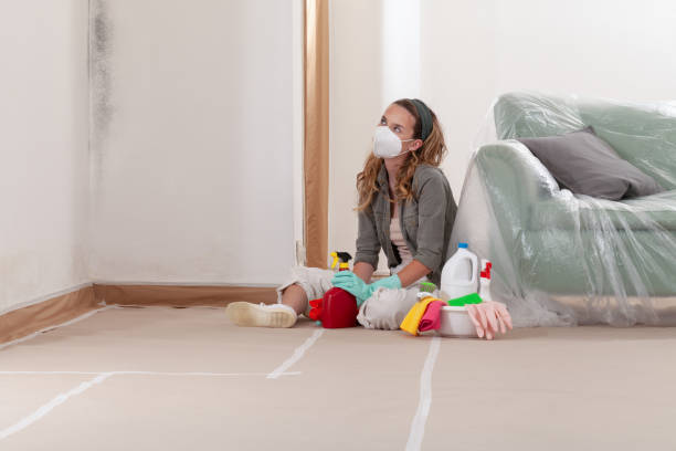 Reliable Mold Cleanup contractor in East Hanover, NJ by Cheap Mold Removal
